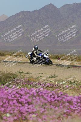 media/Feb-04-2023-SoCal Trackdays (Sat) [[8a776bf2c3]]/Turn 15 Inside Blooming (1050am)/